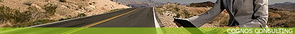 UltiPro-Cognos-Consulting